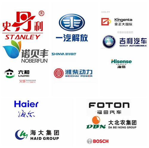 青島德瑪爾 專注機器人技術服務，引領智能化未來